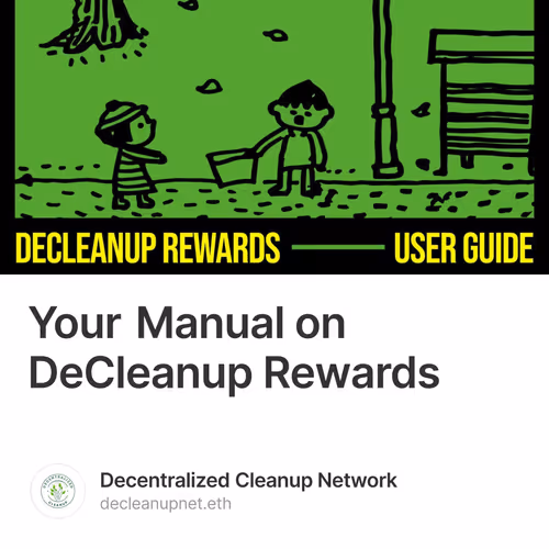 Your Manual on DeCleanup Rewards