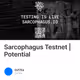 Sarcophagus Testnet | Potential