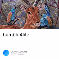 humble4life