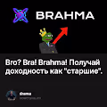 Bro? Bra! Brahma! Получай доходность как "cтаршие".