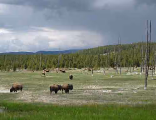 Fragmented Memories (OP)