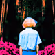 Imagination of Clementine's Garden