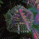 Fractal Psychedelia
