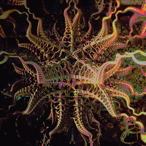 Fractal Psychedelia