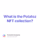 What is the Potatoz NFT collection