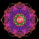 Optical Xplosions