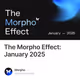 The Morpho Effect: January 2025