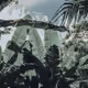plants
