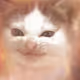 Henlo Bullz