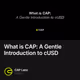 What is CAP: A Gentle Introduction to cUSD