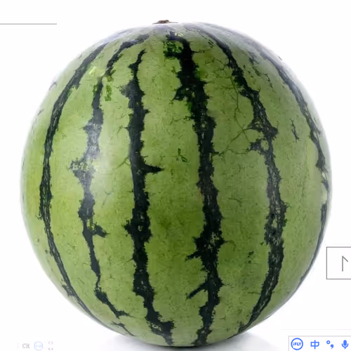 大西瓜GG