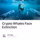 Crypto Whales Face Extinction