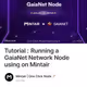 Tutorial : Running a GaiaNet Network Node using on Mintair
