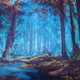 Enchanted Forests