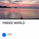 YINDEE WORLD