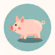 pig