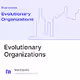 Evolutionary Organizations V2