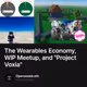 The Wearables Economy, WIP Meetup, and "Project Voxia"