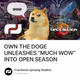 OWN THE DOGE UNLEASHES “MUCH WOW” INTO OPEN SEASON