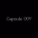 Capsule 009: Photographic Memory