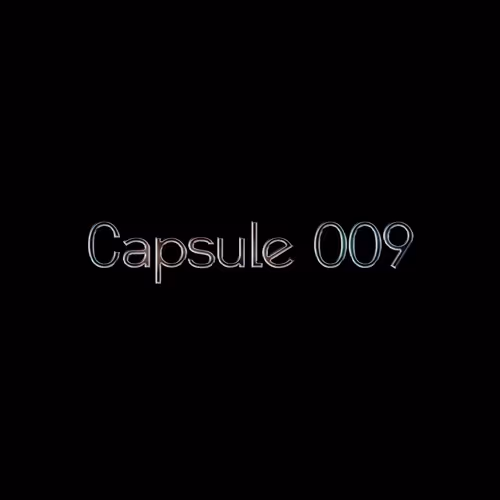 Capsule 009: Photographic Memory
