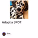 Adopt a SPOT