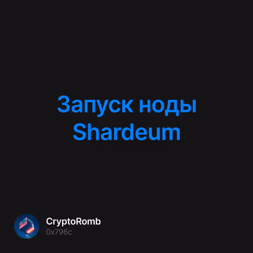 Запуск ноды Shardeum