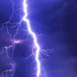 项目媒体占位符