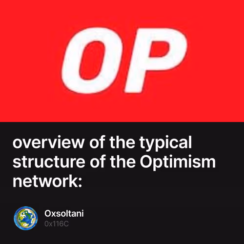 overview of the typical structure of the Optimism network: