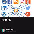 RSS1