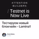 Тестируем новый блокчейн - Lamina1