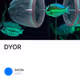 DYOR