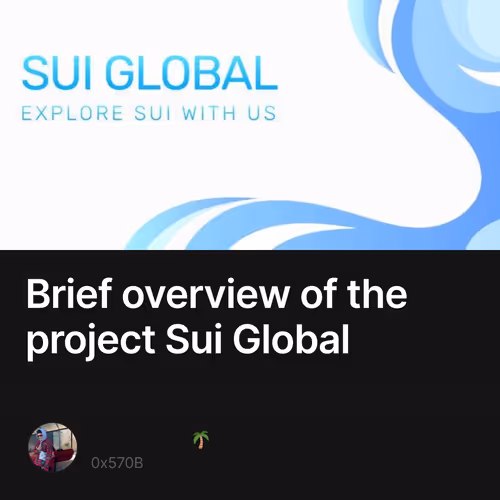 Brief overview of the project Sui Global