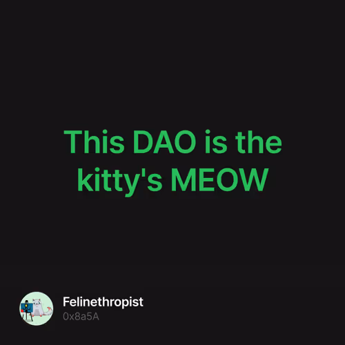 This DAO is the kitty's MEOW