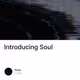 Introducing Soul