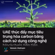 UAE thúc đẩy mục tiêu trung hòa carbon bằng cách sử dụng công nghệ blockchain tiên tiến