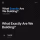 What Exactly Are We Building?