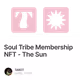 Soul Tribe Membership NFT - The Sun