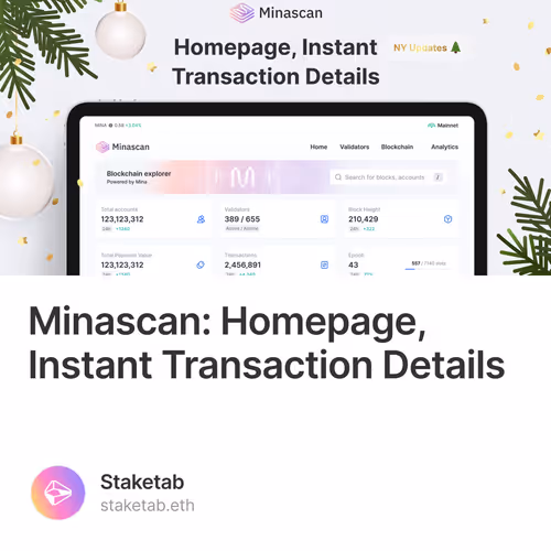 Minascan: Homepage, Instant Transaction Details