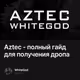 Aztec - полный гайд для получения дропа