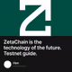 ZetaChain is the technology of the future. Testnet guide.