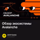 Обзор экосистемы Avalanche
