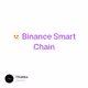 🫥 Binance Smart Chain