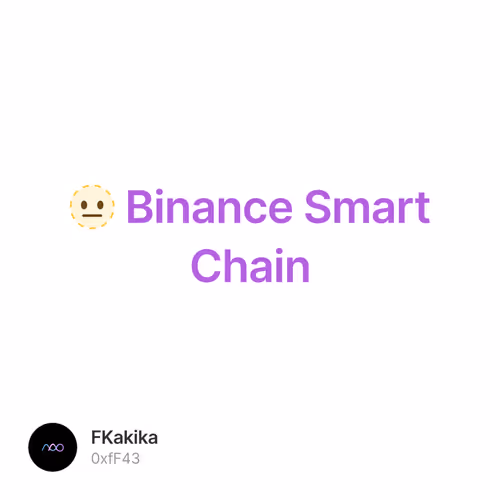 🫥 Binance Smart Chain