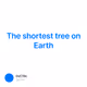 The shortest tree on Earth