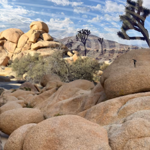 Adventures In Collage 1