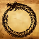 Havara