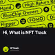  Hi What is NFT Track