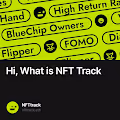  Hi What is NFT Track