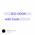 币安最新IEO HOOK的链游wild Cash的保姆级攻略